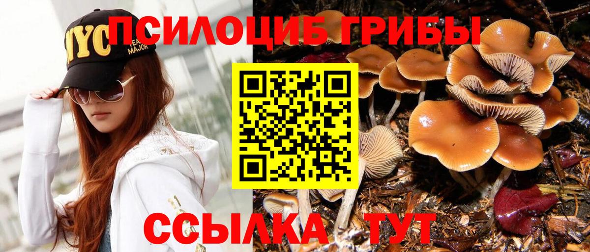 Галлюциногенные грибы ЛСД  Вход с VPN  Спасск-Дальний 